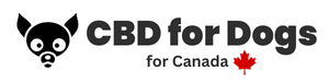 CBD for Dogs Canada