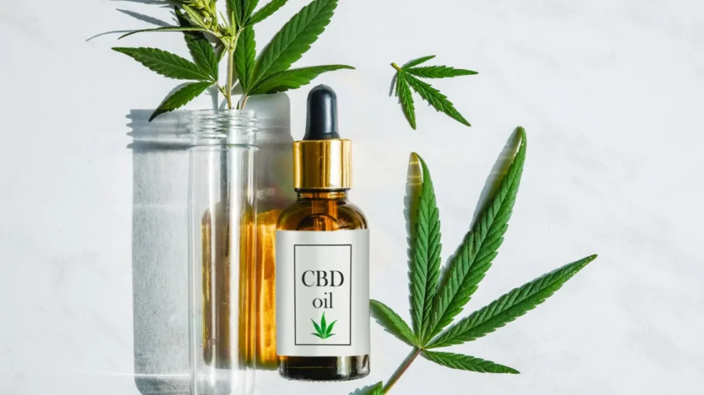 CBD oil for dogs